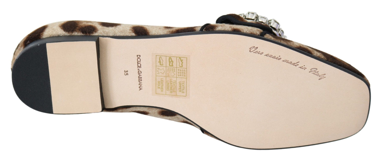 Comfortable and elegant flats with attention to detail