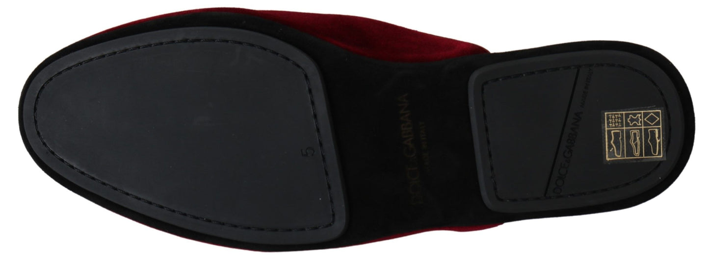 Luxury Dolce & Gabbana slides in red velvet, a blend of comfort and sophistication