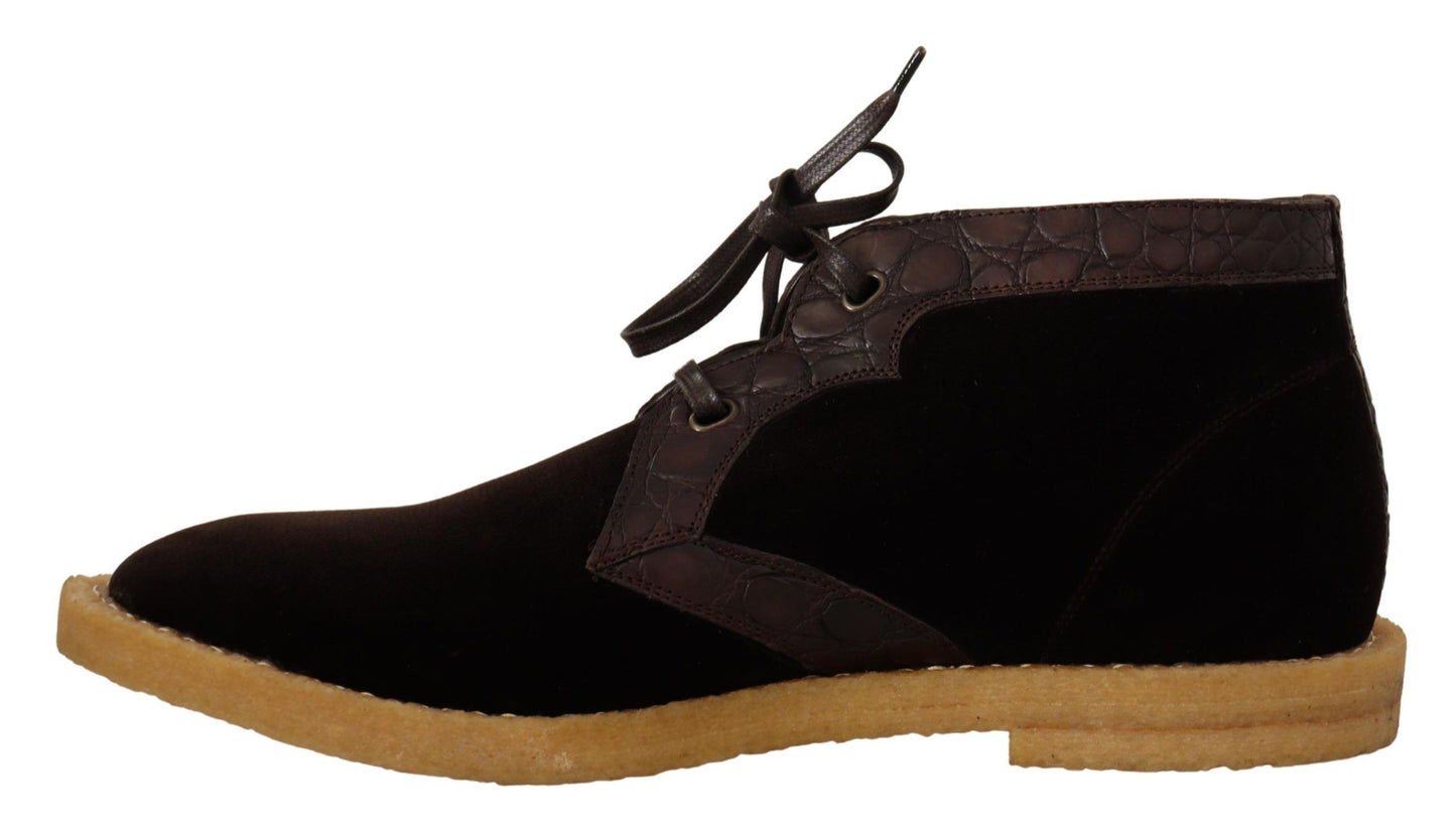 Brown Dolce & Gabbana ankle boots with velvet, caiman exotic leather, and logo details