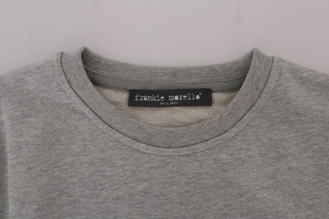 High-quality cotton sweater with whimsical Morellosaurs motif in gray