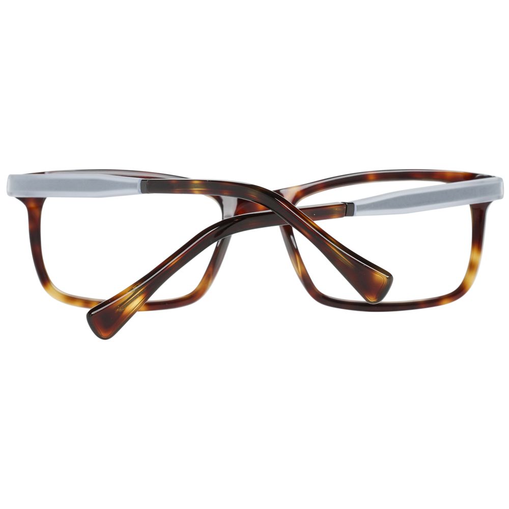  Police brown men's optical frames with 34mm lenses height and 132mm frame width